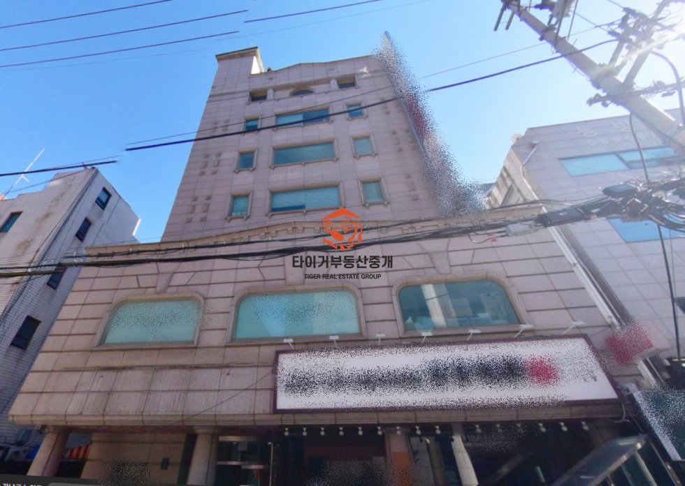 사진 13