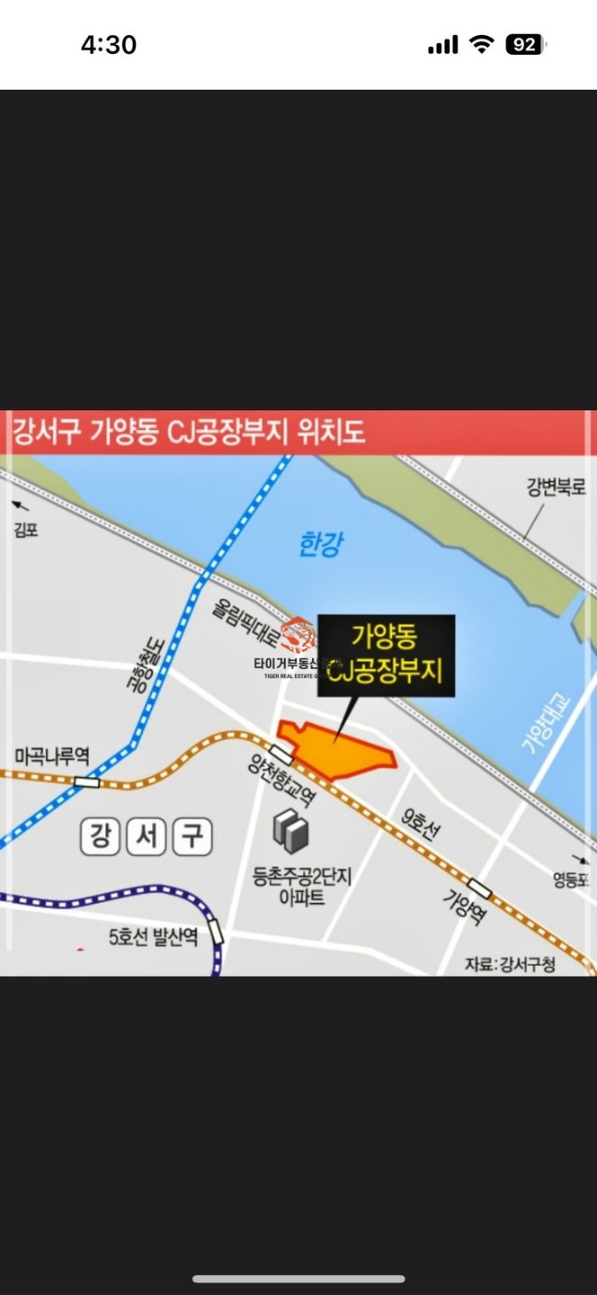 사진 5