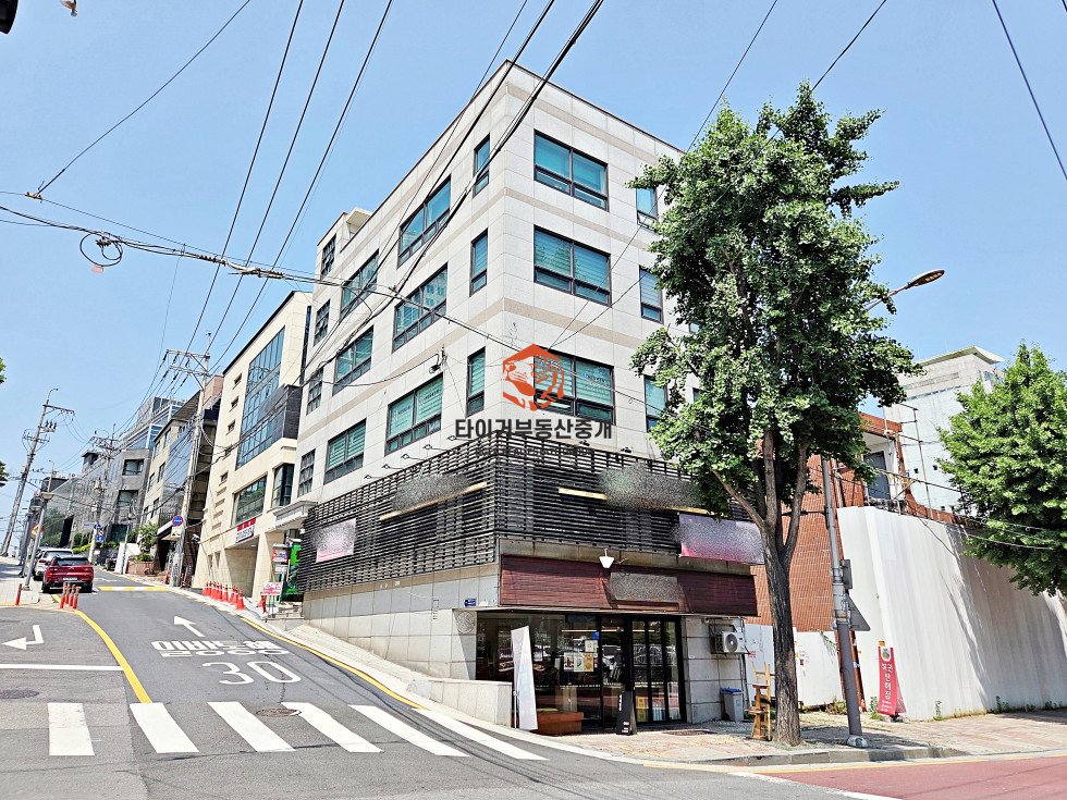 사진 12