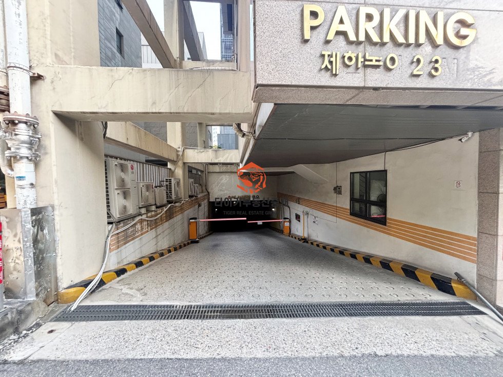 사진 12