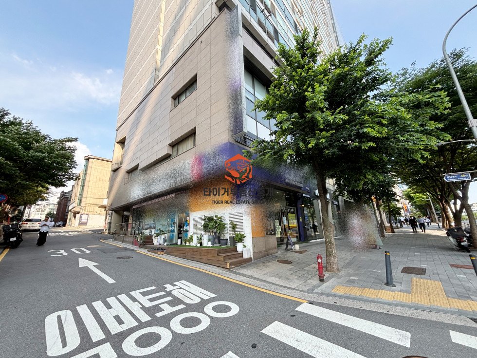 사진 14
