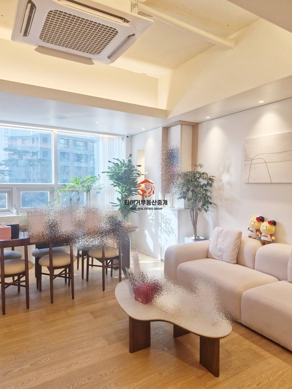 사진 7
