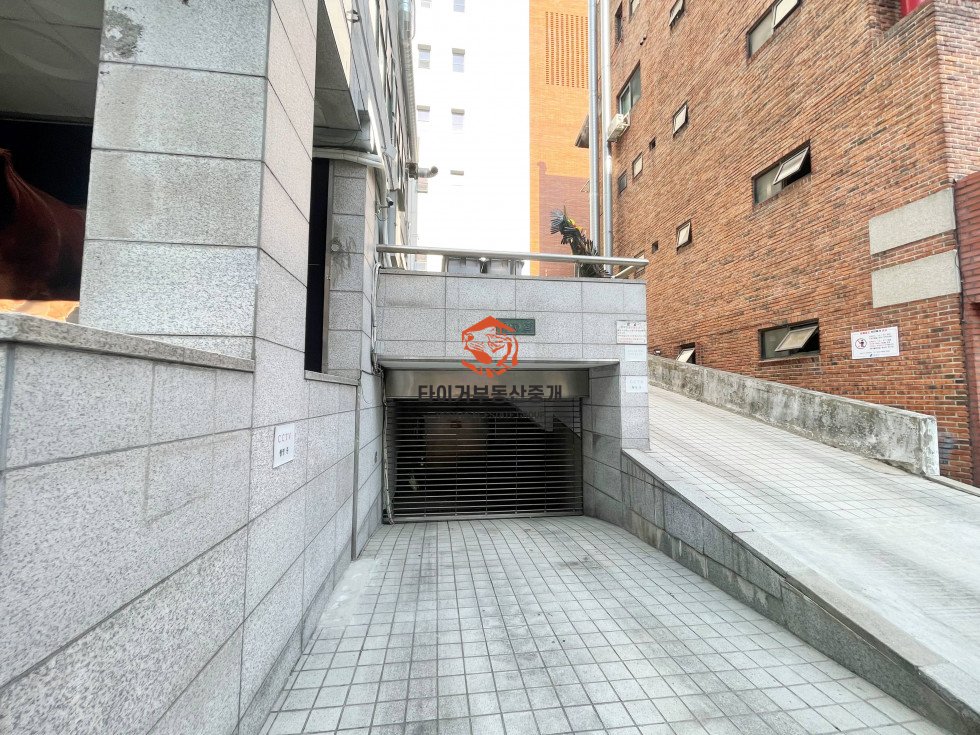 사진 9
