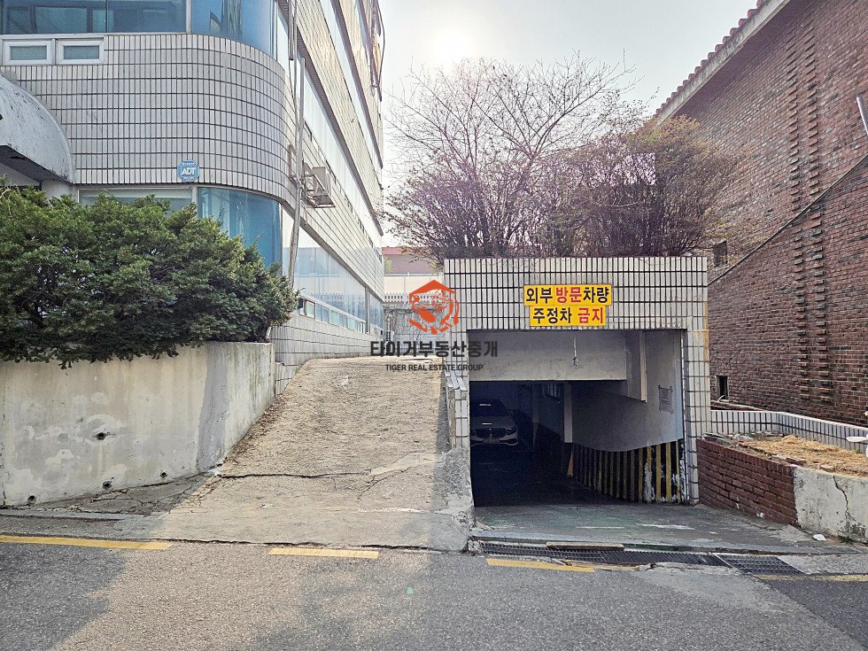 사진 12