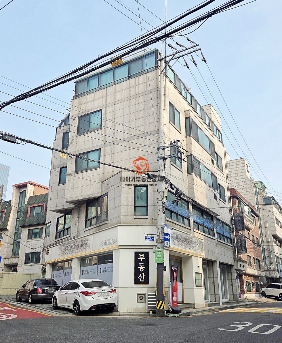 사진 11