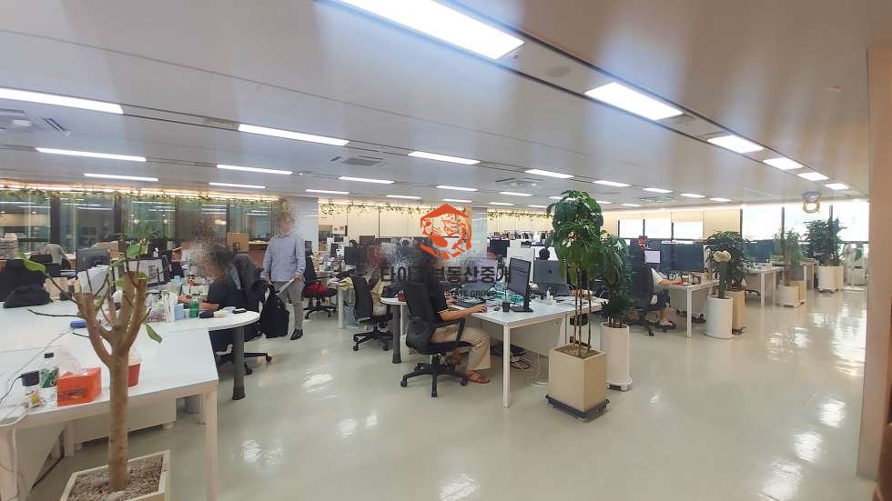 사진 3