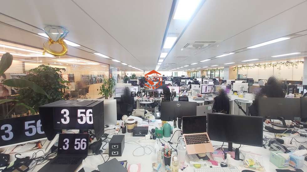 사진 6