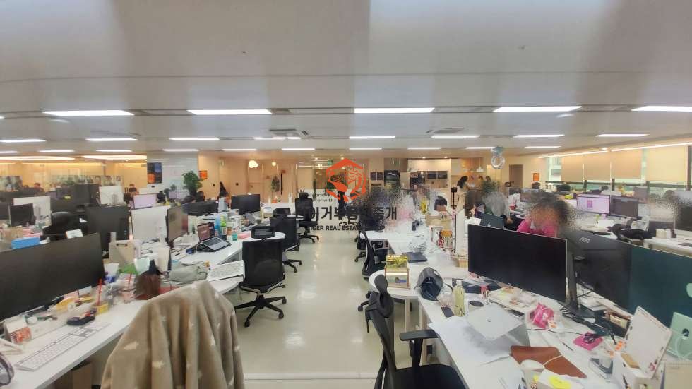 사진 9