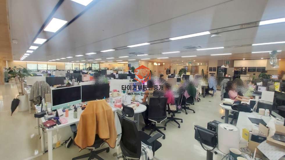 사진 10