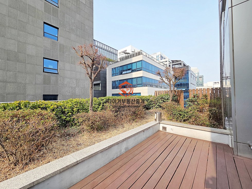 사진 12