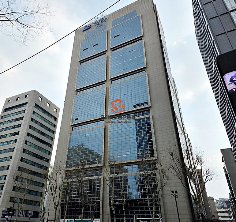 사진 11