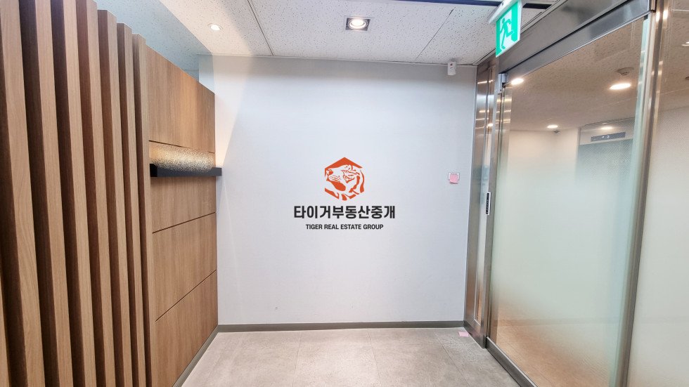 사진 12