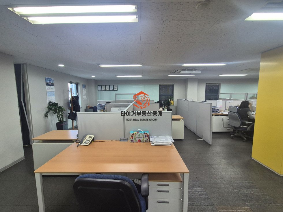 사진 6