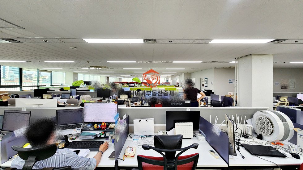 사진 6