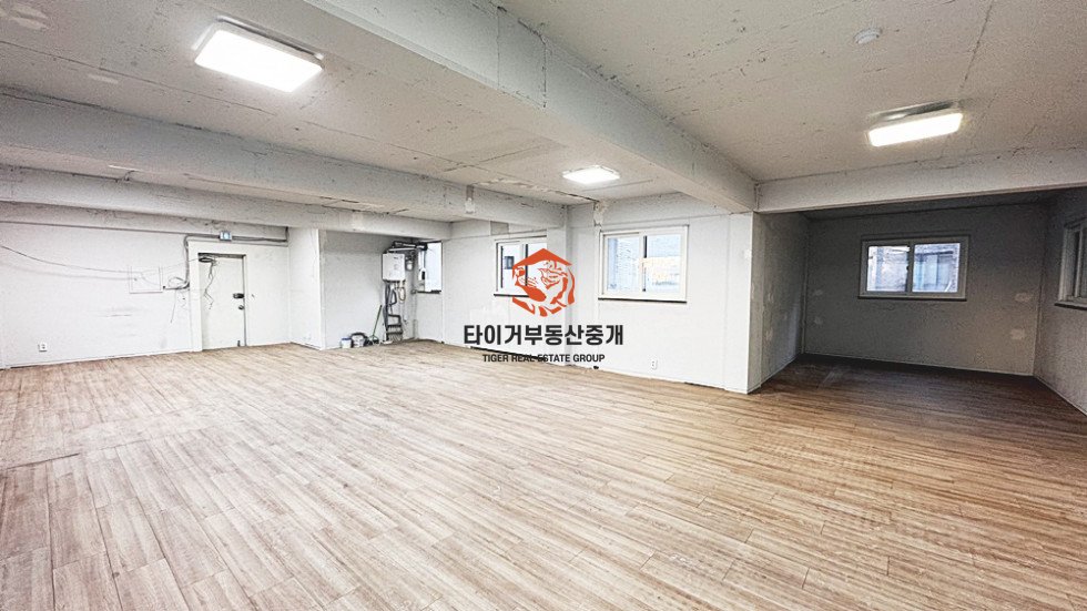 사진 5