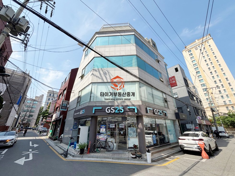 사진 11