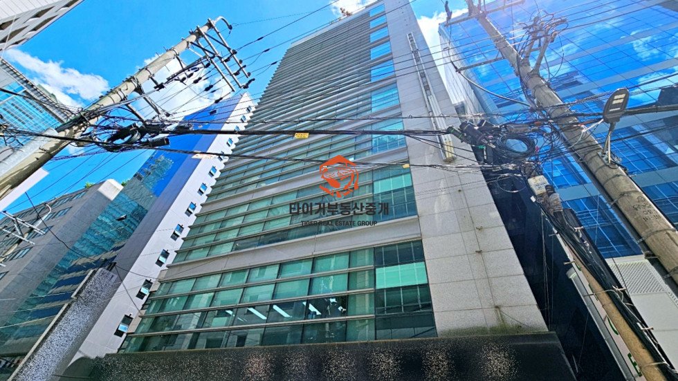 사진 14