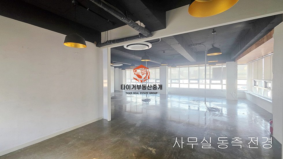 사진 5