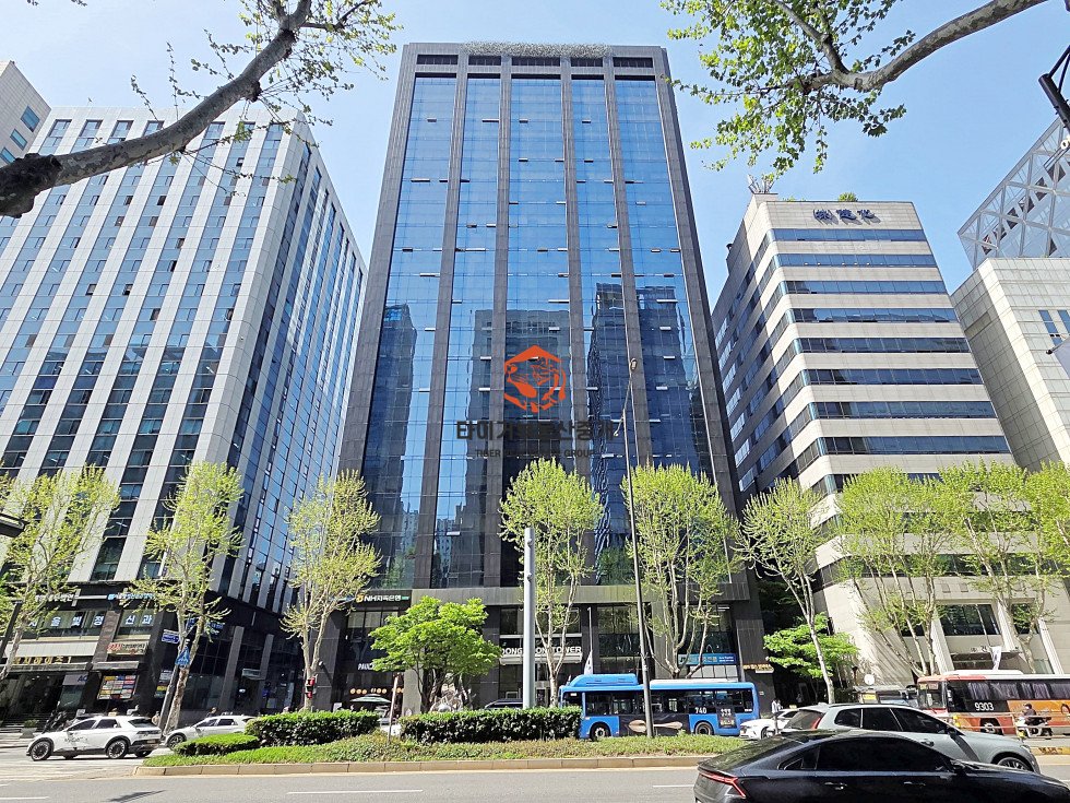 사진 15