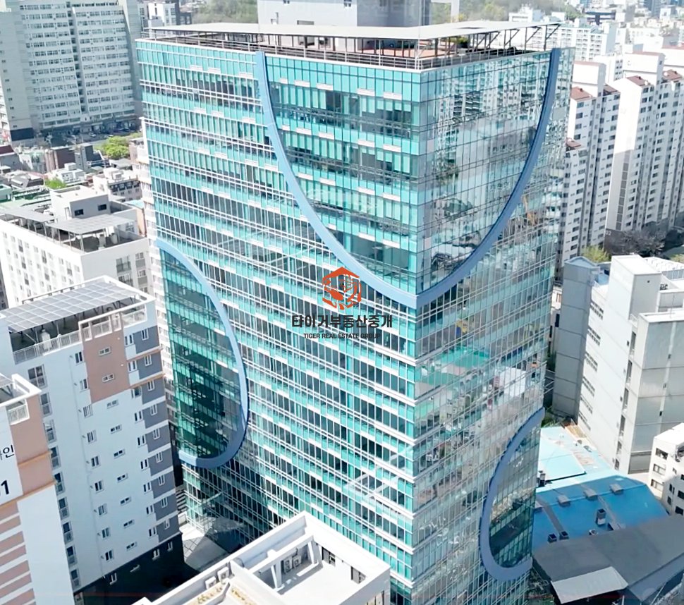 사진 8