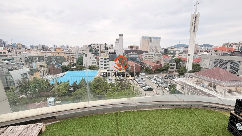 사진 13