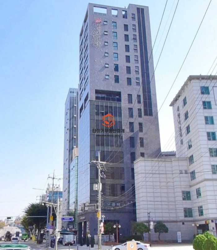 사진 4