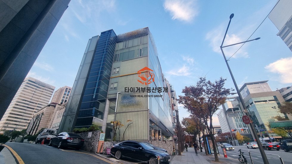 사진 10