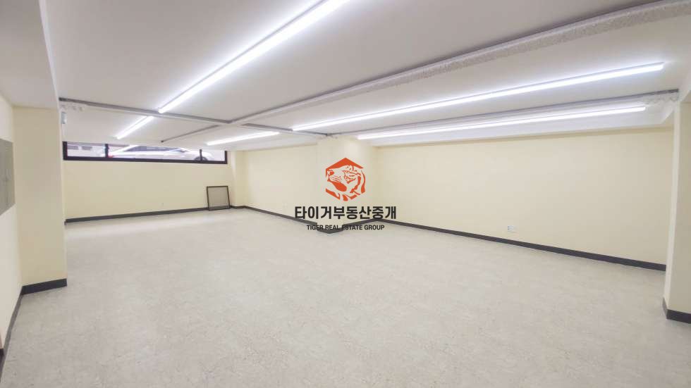 사진 12