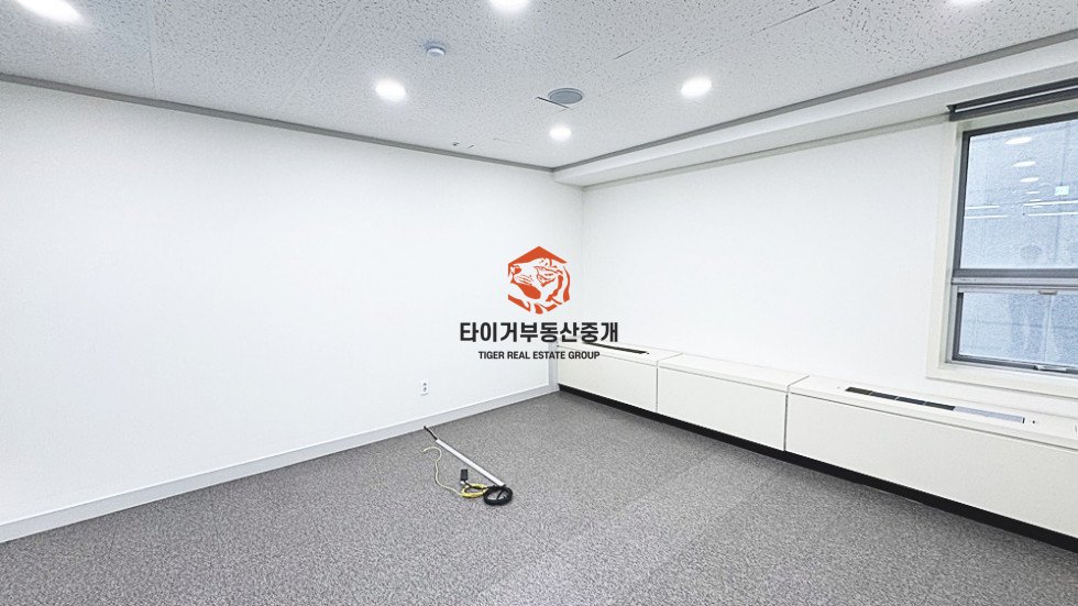 사진 8