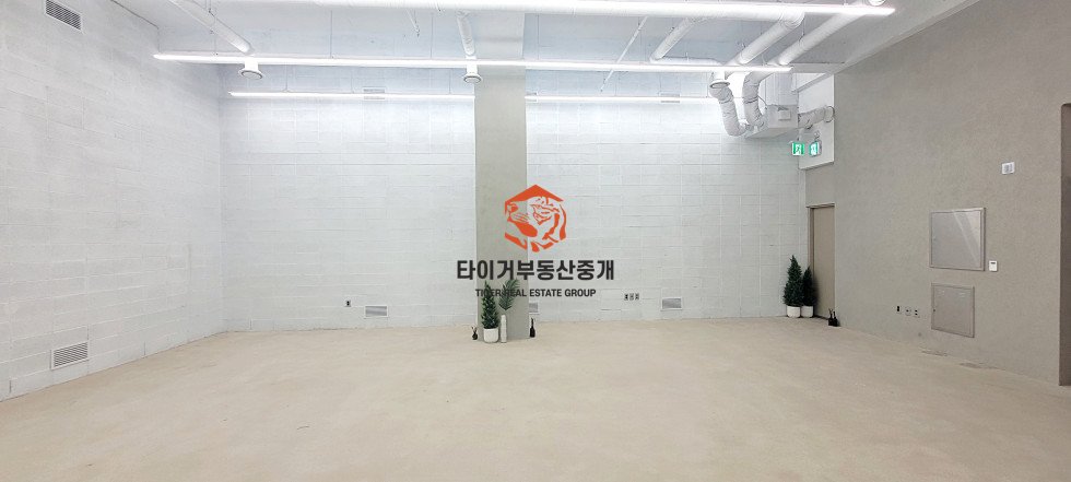 사진 8