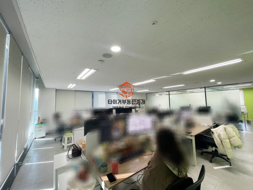 사진 6