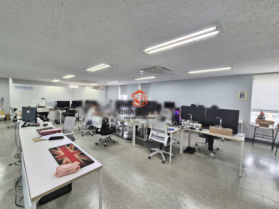 사진 5