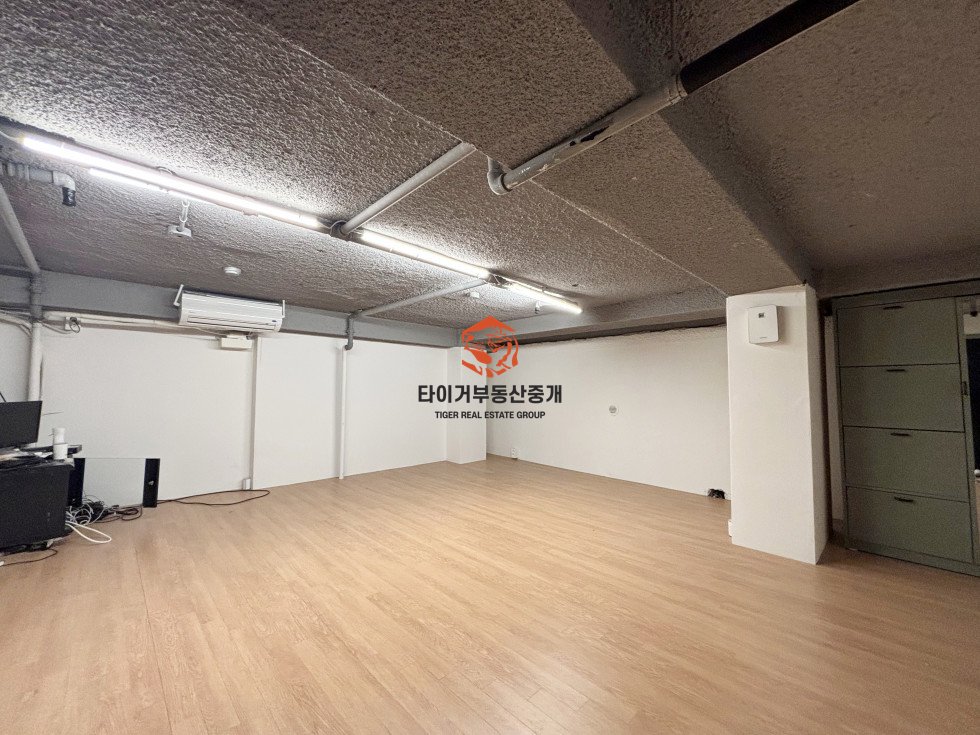 사진 15