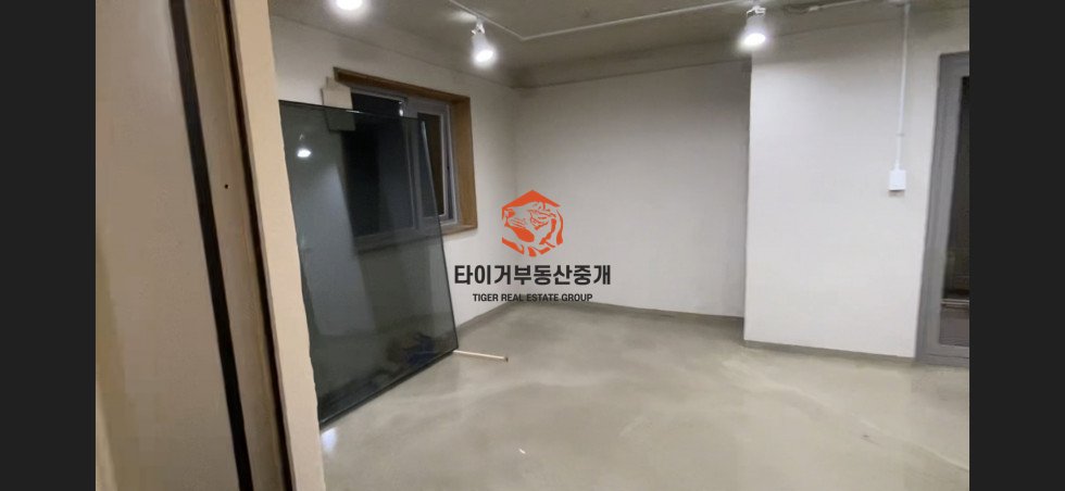 사진 5