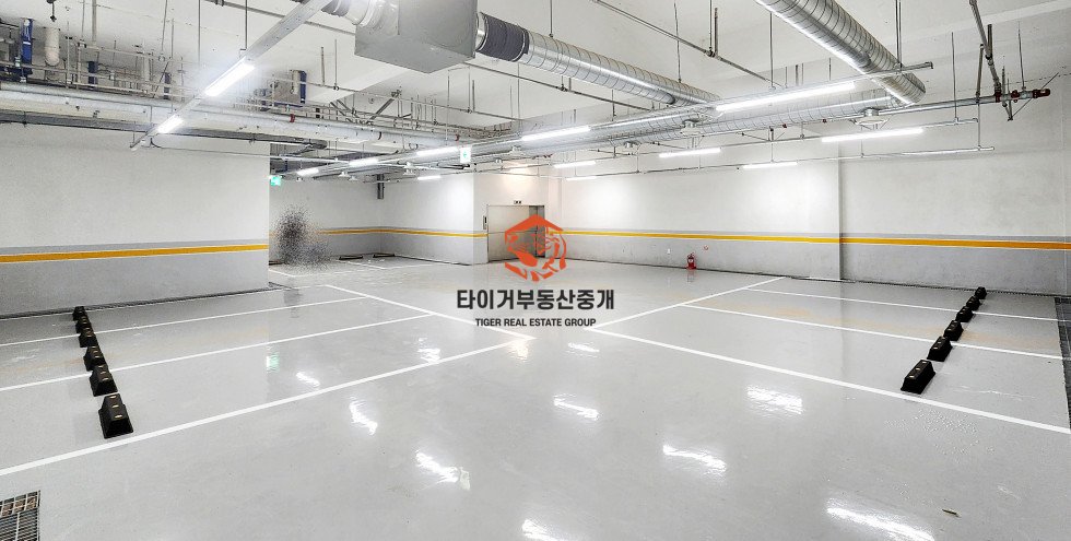 사진 11