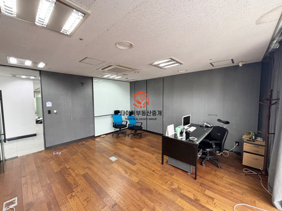 사진 12