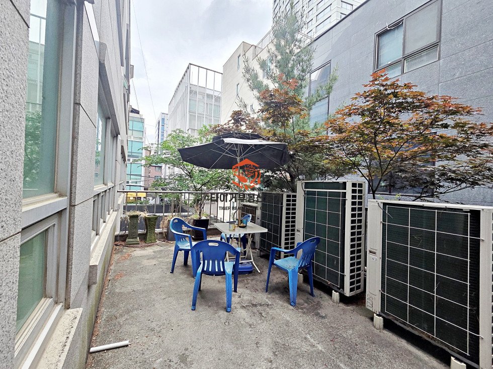 사진 15