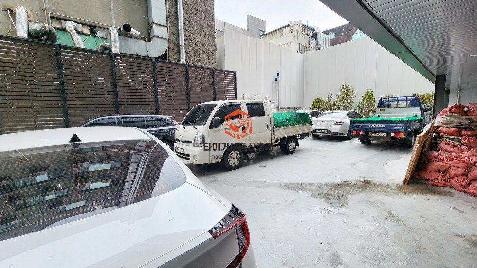 사진 5
