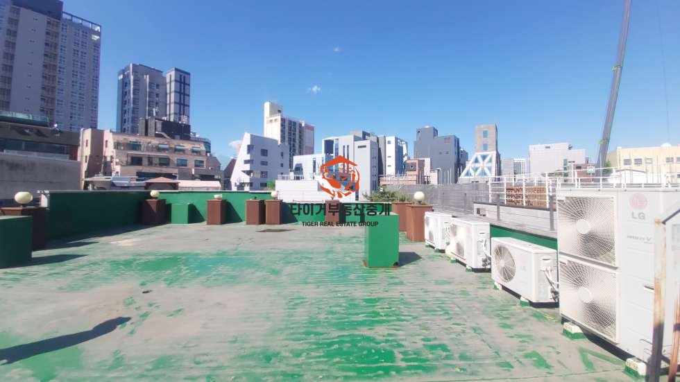 사진 10