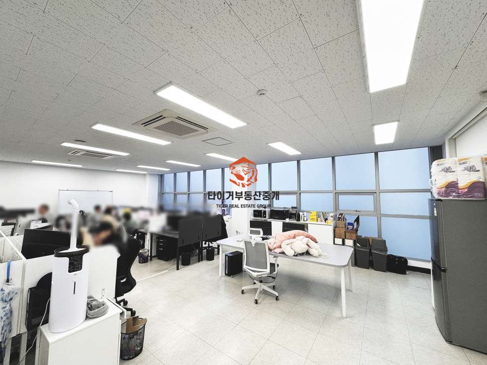 사진 5