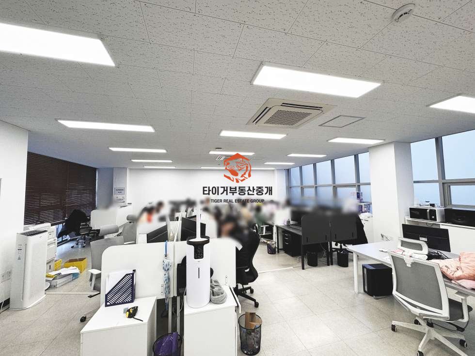 사진 6