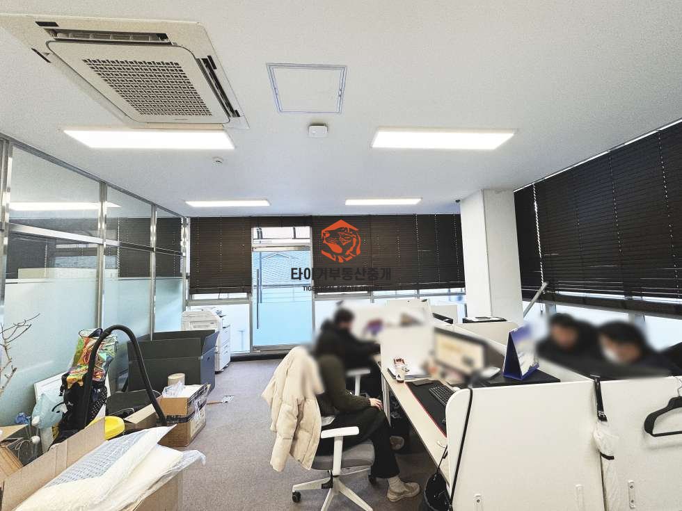 사진 8
