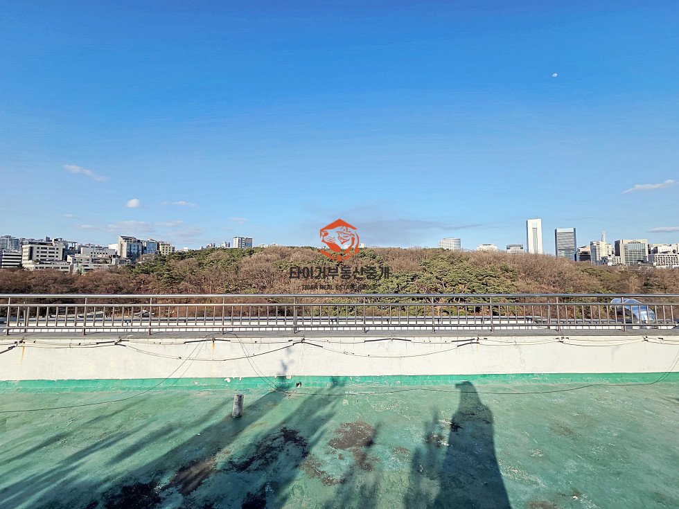 사진 17