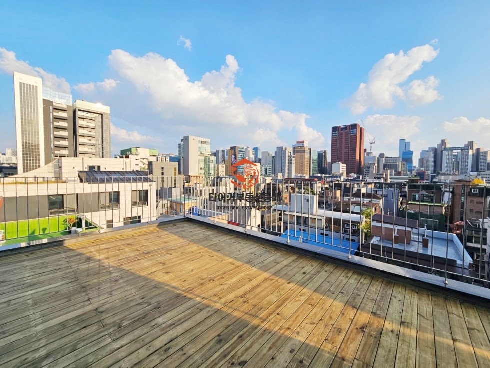 사진 12