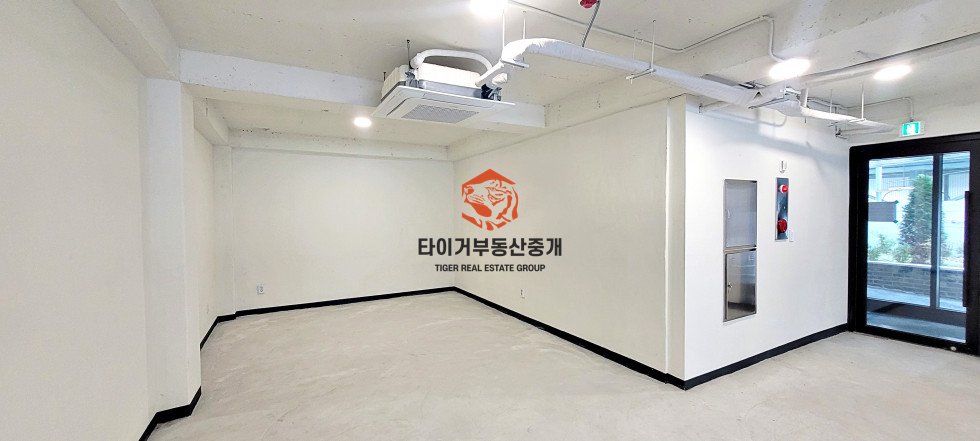 사진 5