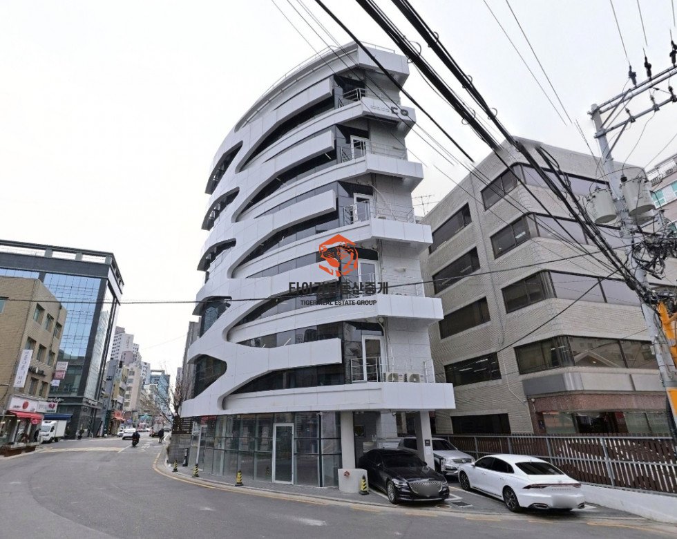 사진 5