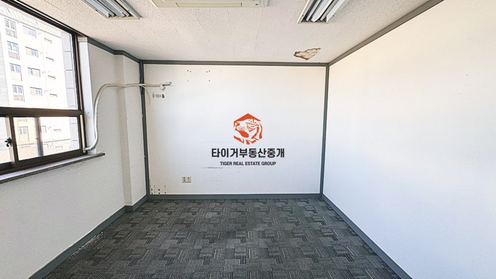 사진 5