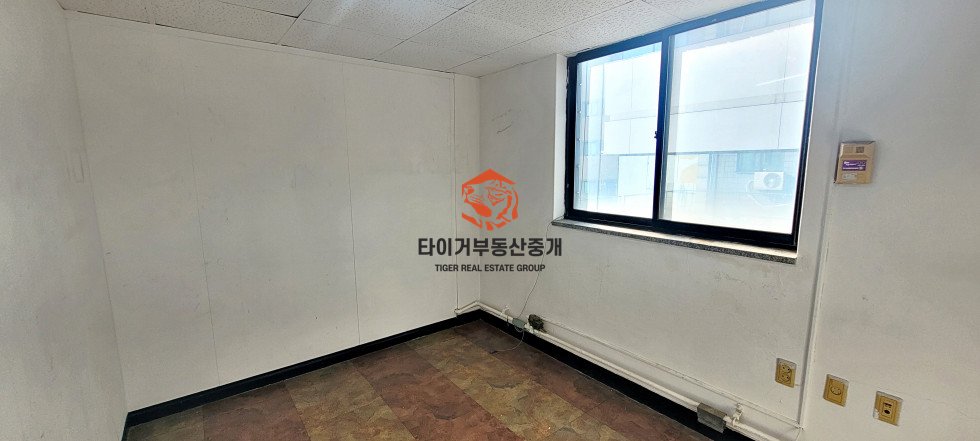 사진 5