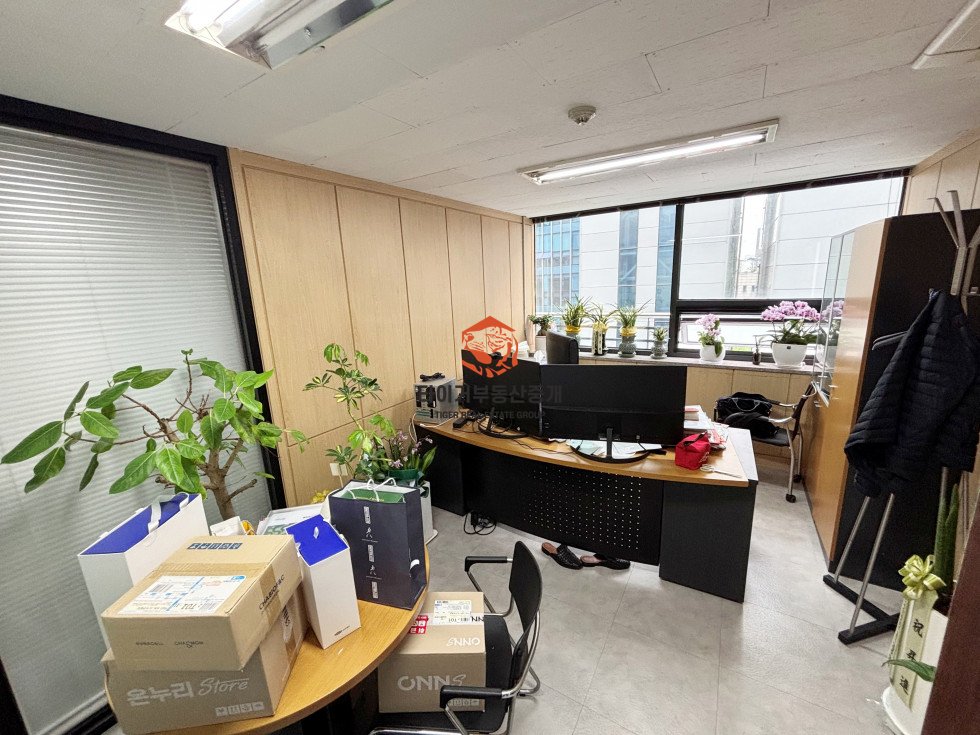 사진 11