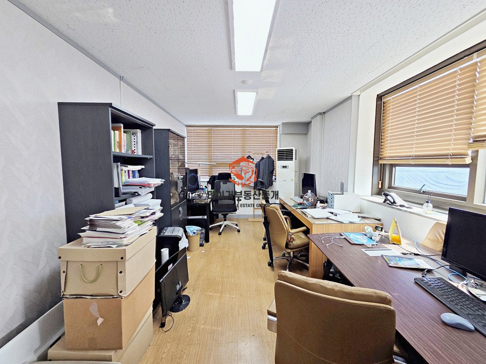사진 5